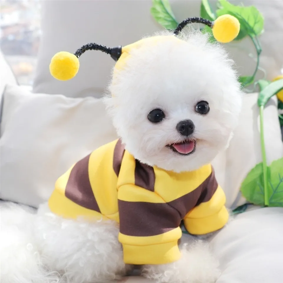 Pes Cat Hoodie Cartoon Bee Hoodie Puppy Kitten Apparel Pet Halloween Cosplay kostýmy Pet Outfit Products