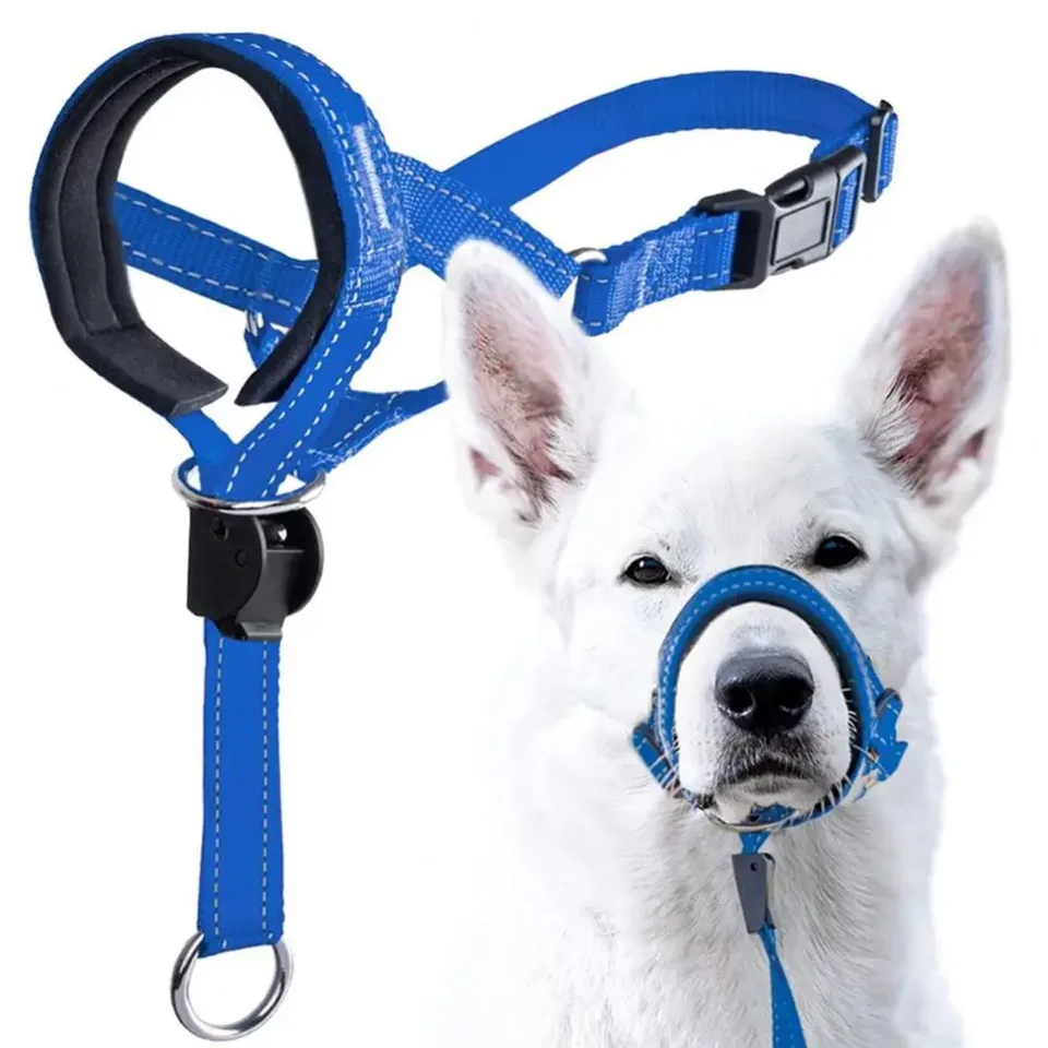 Pes Halter Halti Training Head Collar Knižnica Nastaviteľné nastaviteľné rýchle uvoľňovanie Priedušné psie ústa v ústach