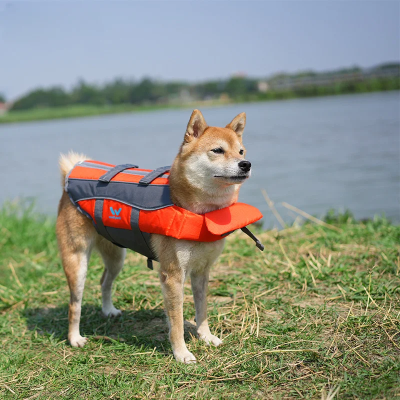 Pes Life Bathets Vest Vest Corgi Law Boj proti Teddy Bago Veľké a stredné letné domáce zviera na hranie zásob psov