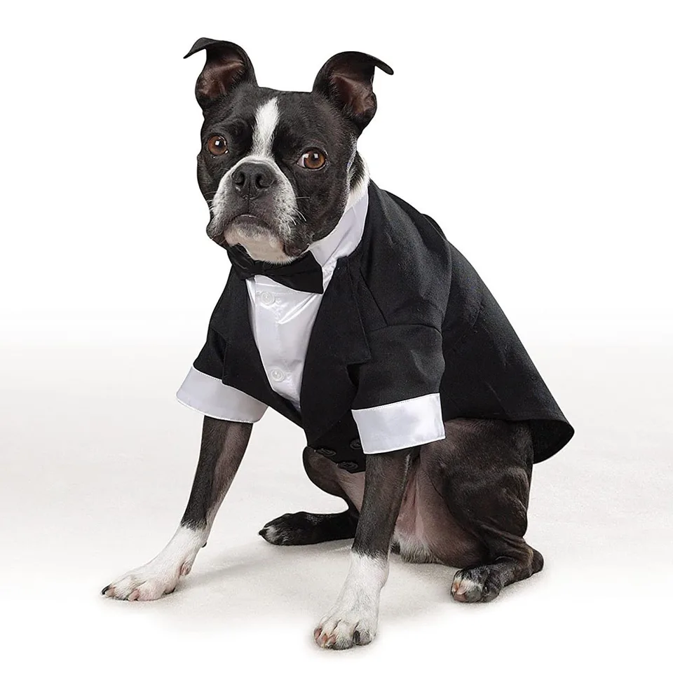 Pes Tuxedo Suit kostýmy Pet Cat Dog Svadba narodeninovej oslavy Formálne košeľa s motýlkou ​​pre šteniatko malé stredné psie kostýmové oblečenie