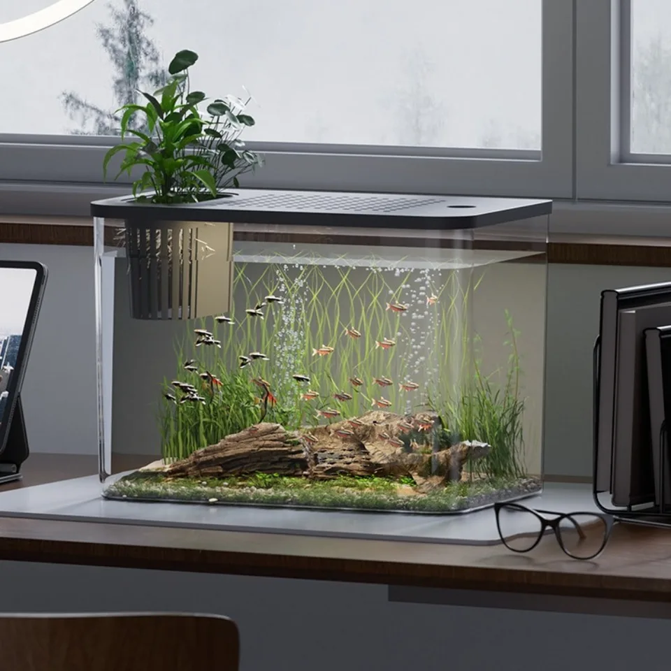 PET+ABS FISH TANKY NOVINKA TRANSPArent s vekom Aquarium odolný voči hydroponickej nádrže Hydroponic Tant Tant Tank Home