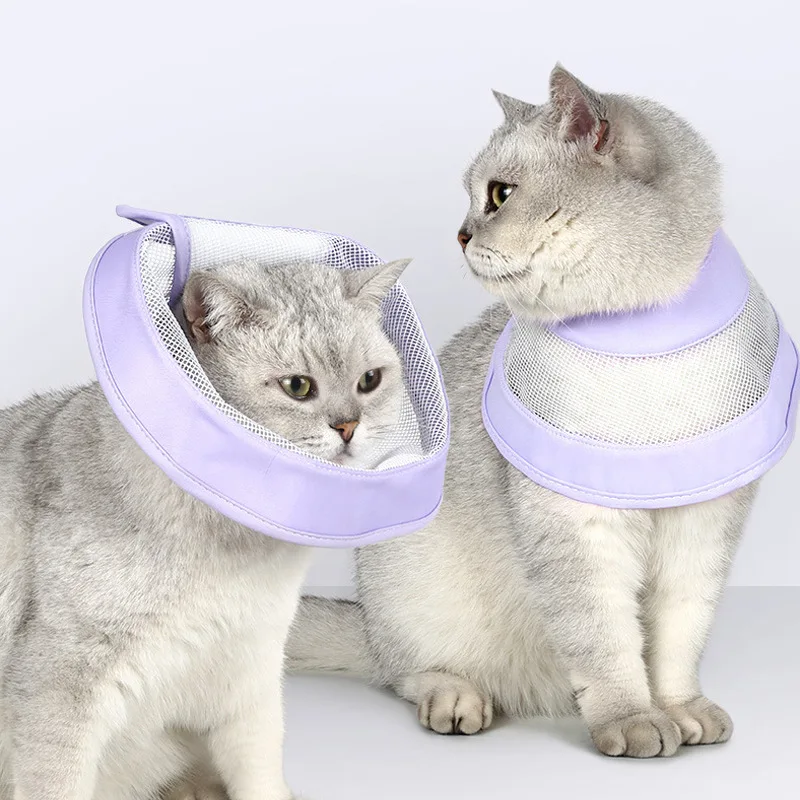 Pet Cat Dogs Health Recover