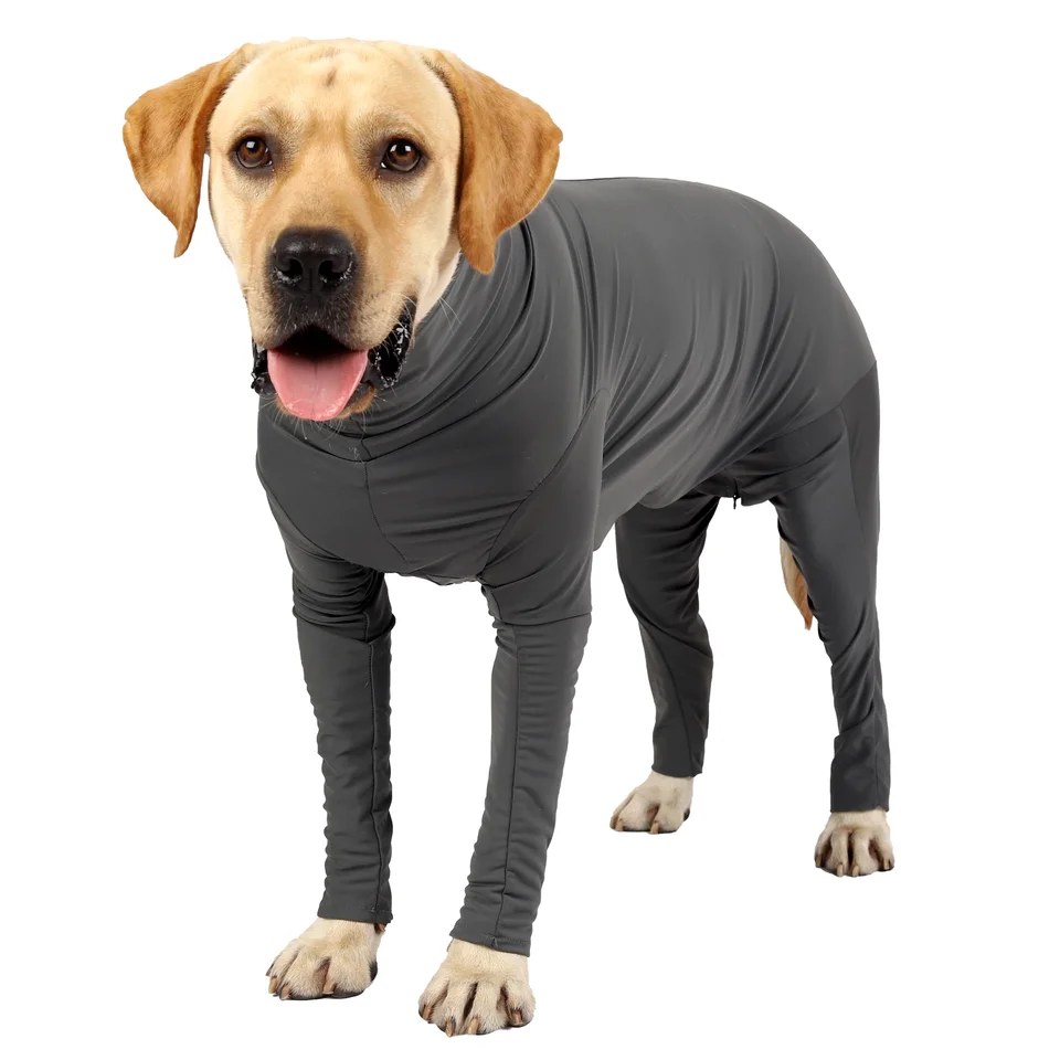 Pet Dog Clothes Pet Chirurgic Recovery Suit One