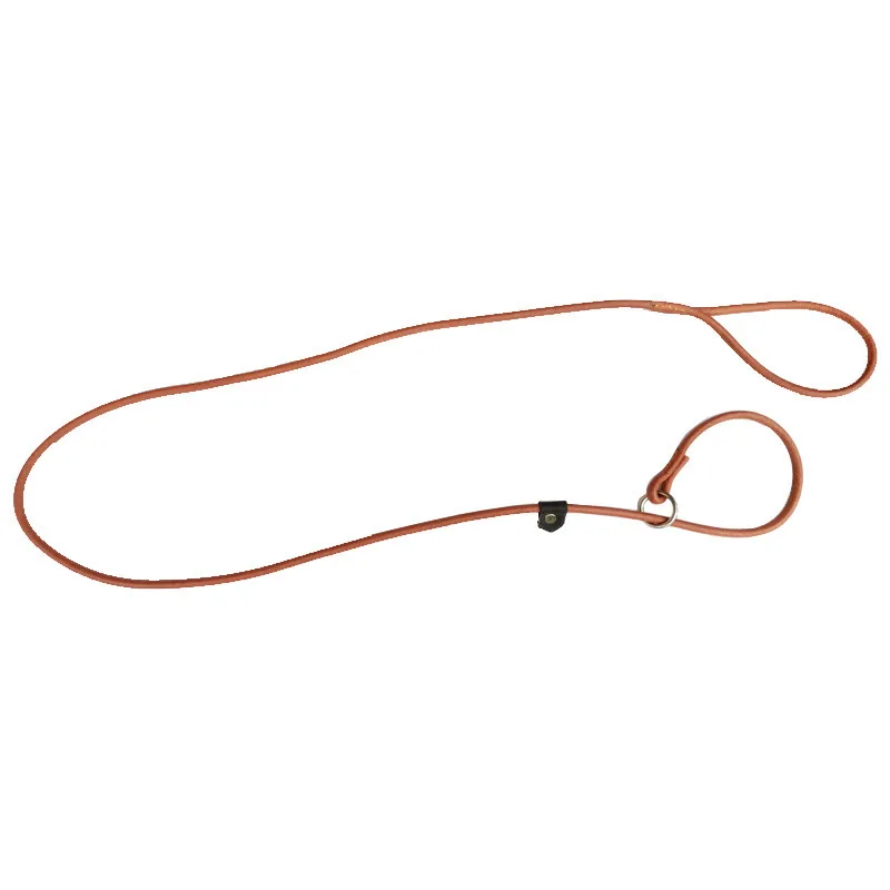 Pet Dog Leash Cowhide Traction Traction Integrovaný psí psí psa sa používa na výcvik dodávok domácich zvierat šteniat P-retian