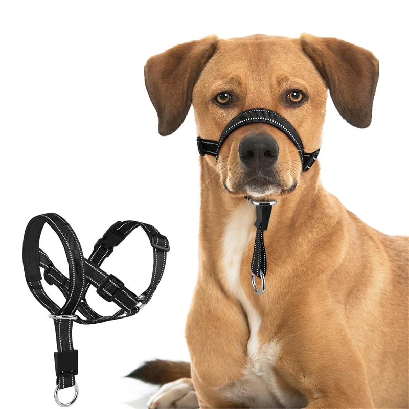 Pet Dog Náskle Nastaviteľné tréningové olovo Lana Anti kôra Zhryznutie