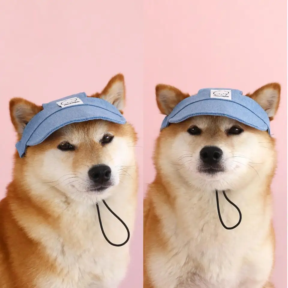 Pet Hat Sun nastaviteľný popruh baseball čiapka psa slnečné klobúky s otvormi do uší.