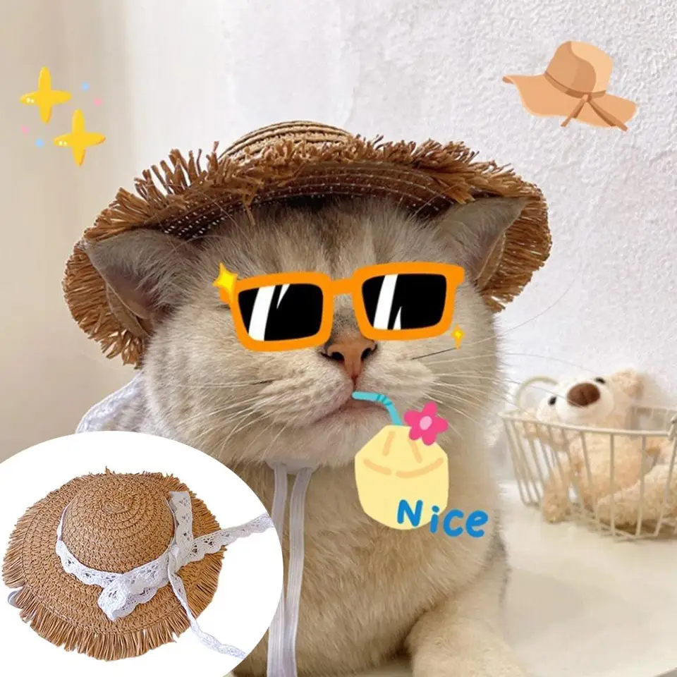 Pet hlavy pokrývky mäkké jemné spracovanie dekoratívny maznáčik psie mačka bowknot klobúk klobúk domáce klobúky Dodávky