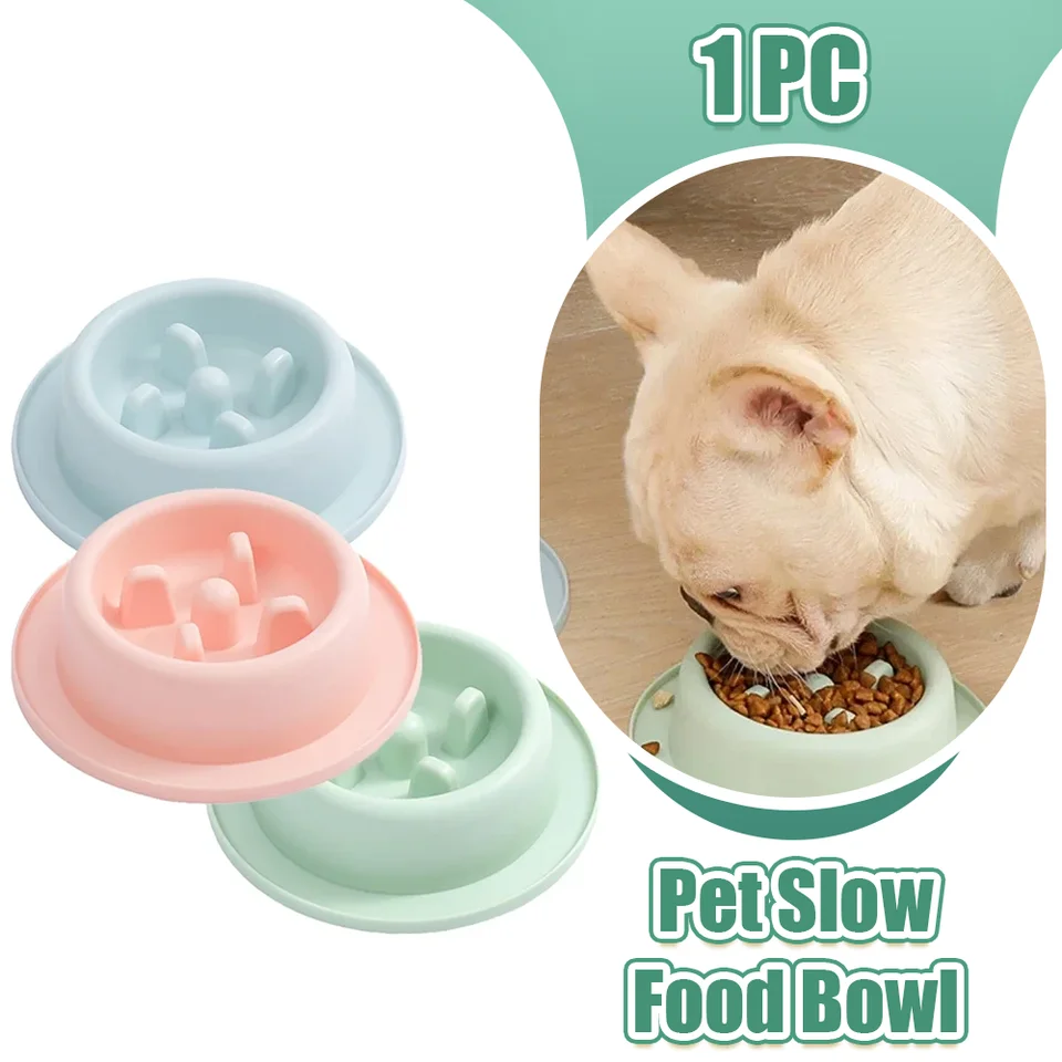 Pet pomalé jedlo misky psa proti zadu