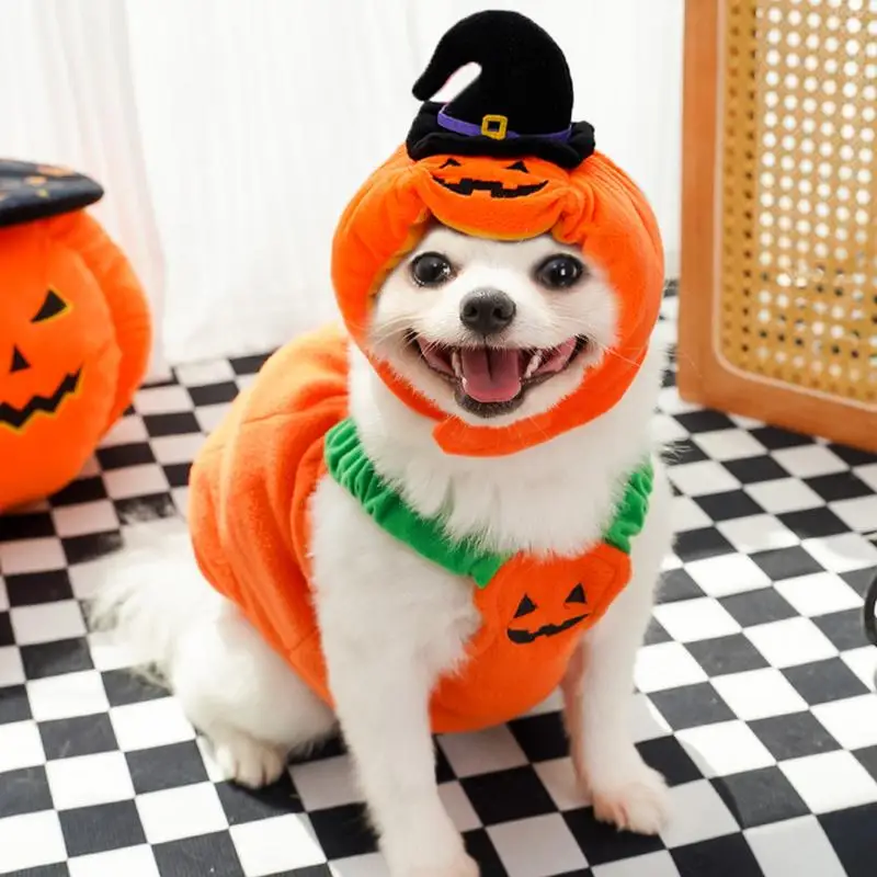 Pet tekvica kostým Halloween festival psov oblečenie Cozy Dog Festival oblečenie roztomilý psí klobúk oblečenie pre psov domáce zvieratá cosplay