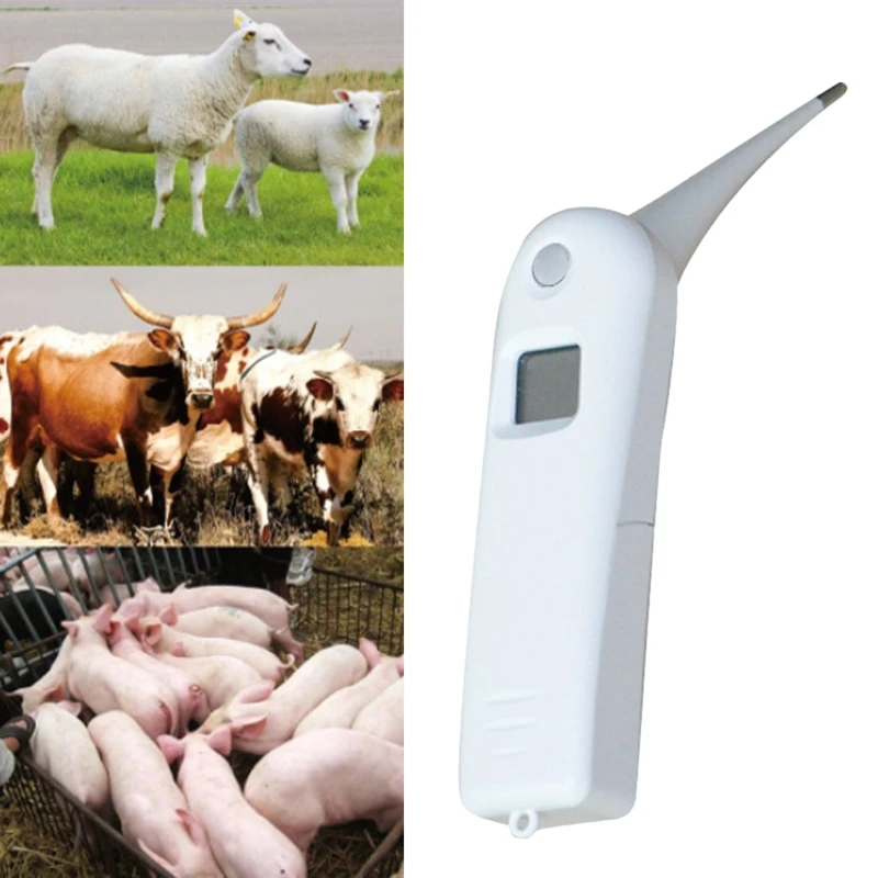 PET teplomer Rýchly digitálny veterinárny teplomer pre psov pre psov mačky Horské hovädzie ošípané vtáky Ovce batéria Zahrnutá B03E