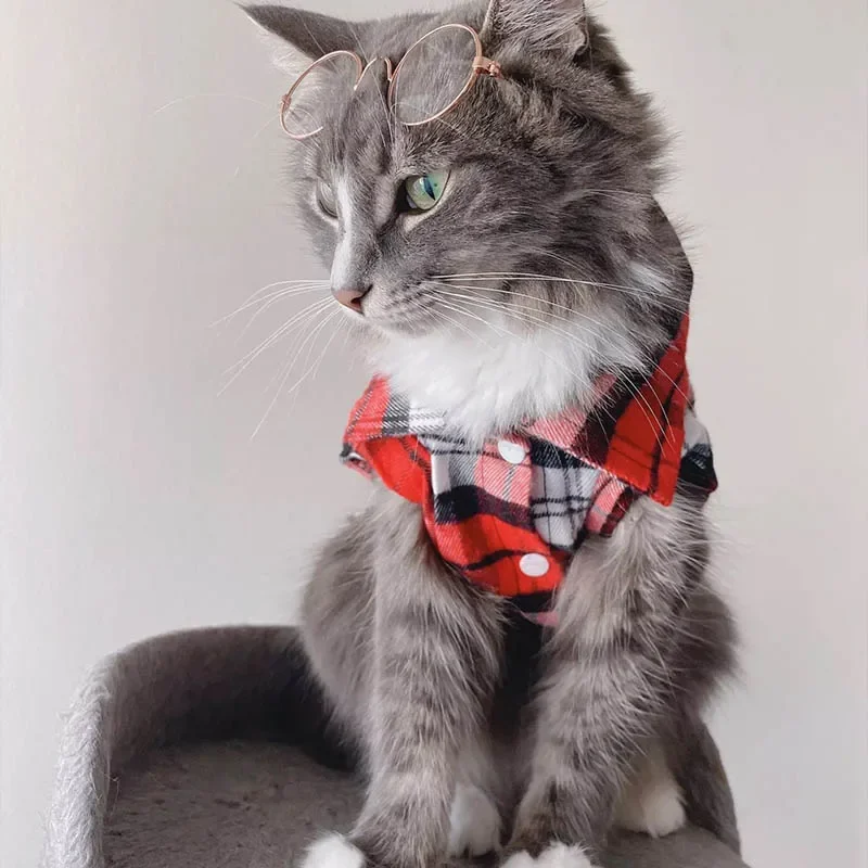Plaid Cat oblečenie pre mačky sfingové mačička oblečenie pre malé mačky Dogs Cat Costyes Soft Kitten Kitty Coat bunda šteňa outfit York