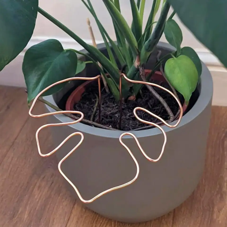 Plant stojan proti korózii odolný voči korózii Odolné jednoduché inštalačné inštalácie Monstera v tvare rastlinnej podpory podpera v tvare kvetinu Podporná hromada
