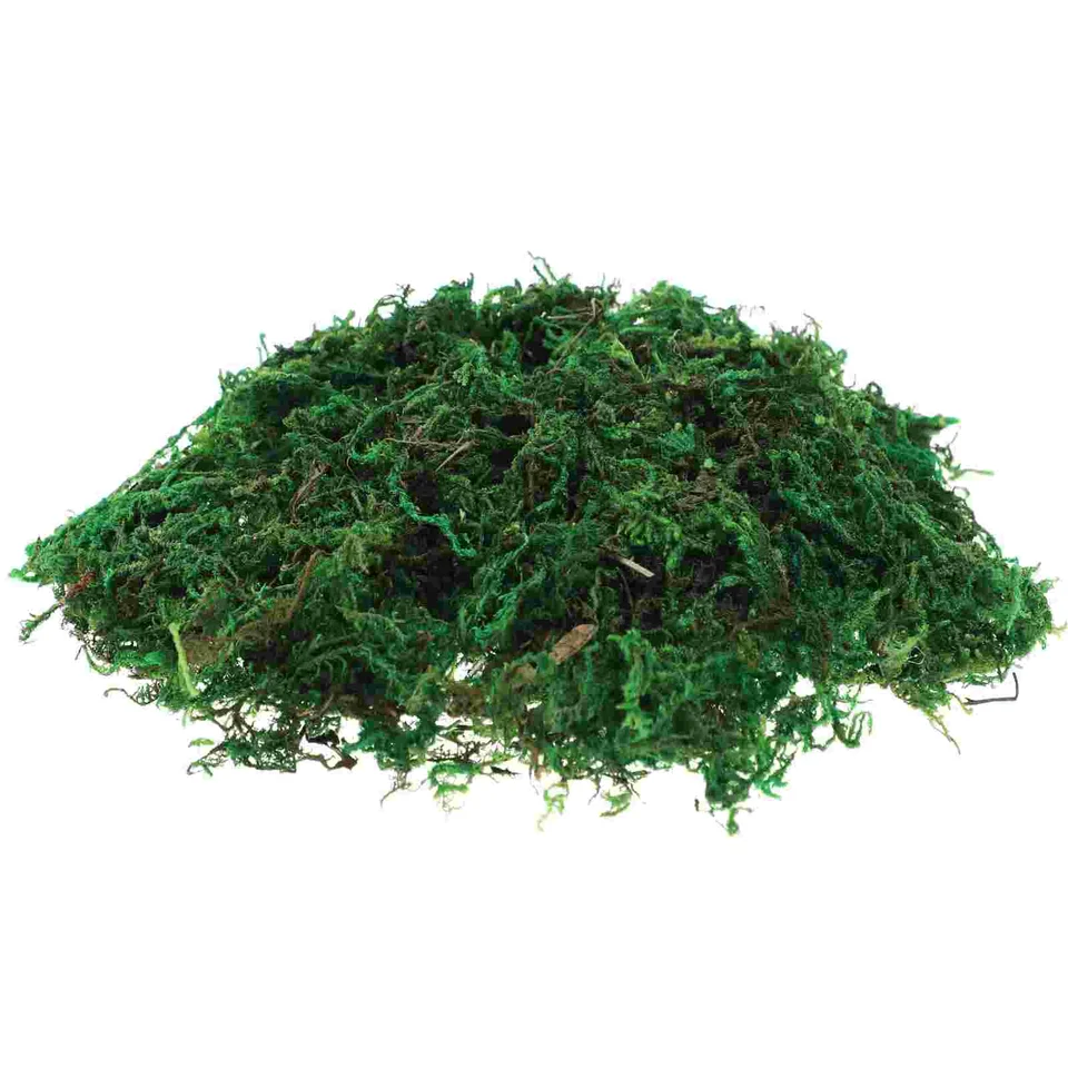 Plant Terrárium dekor falošný zelený mach pre rastliny kvetinové vrcholy dekoratívne