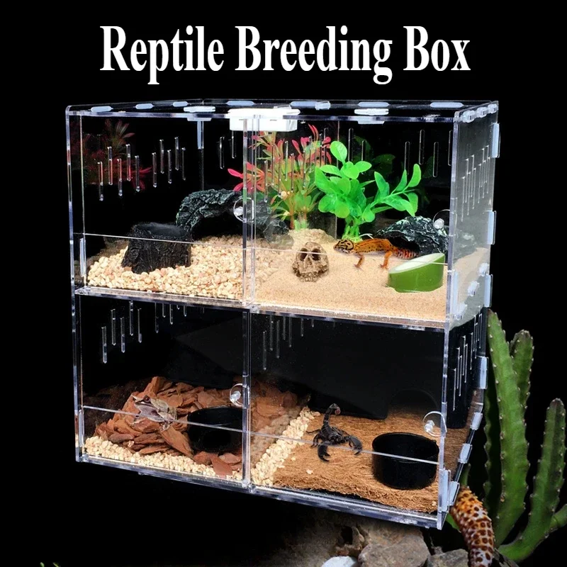 Plazové biotopy Terrárium šľachtenie akrylového puzdra Nano Arboreal Tarantula kryš