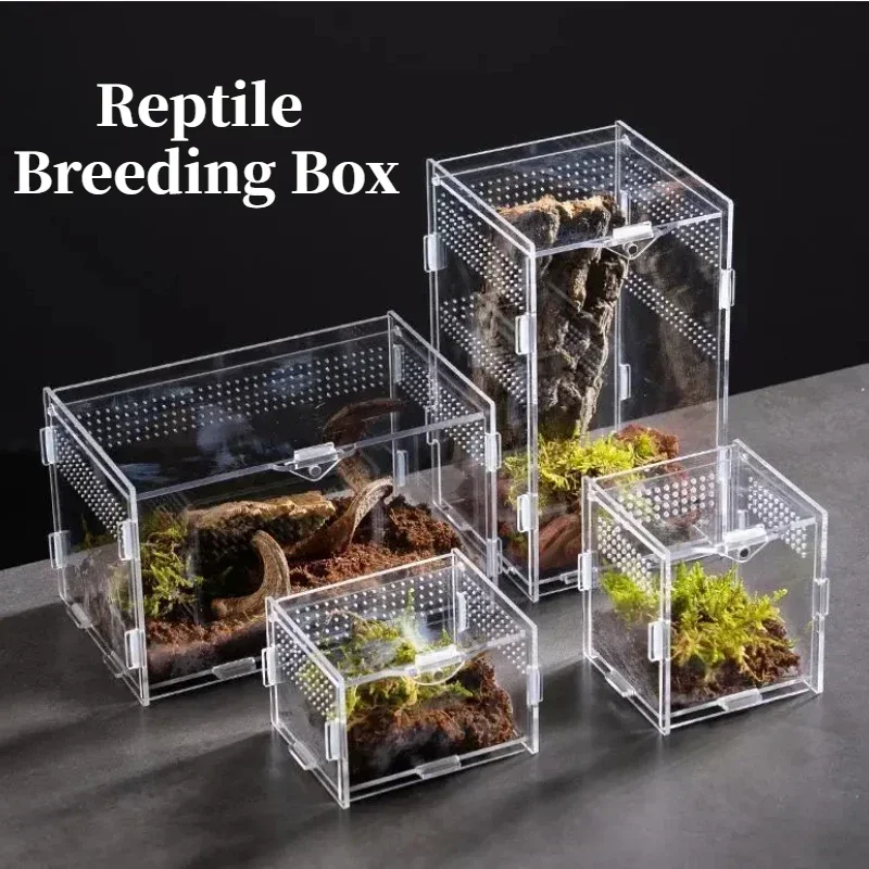 Plazové biotopy Terrárium šľachtenie akrylového puzdra Nano Arboreal Tarantula kryš