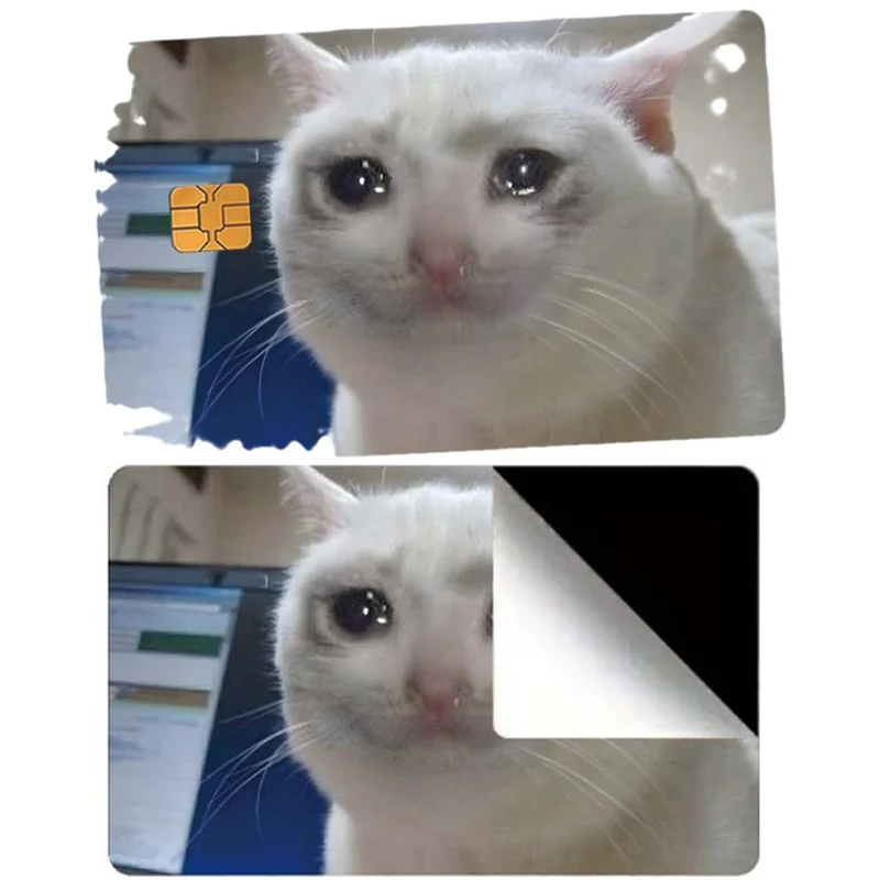 Plač a pocit smutnej mačky kreditné karty pokožky pre bankové karty autobus metra nálepka karty nepremokavé dám