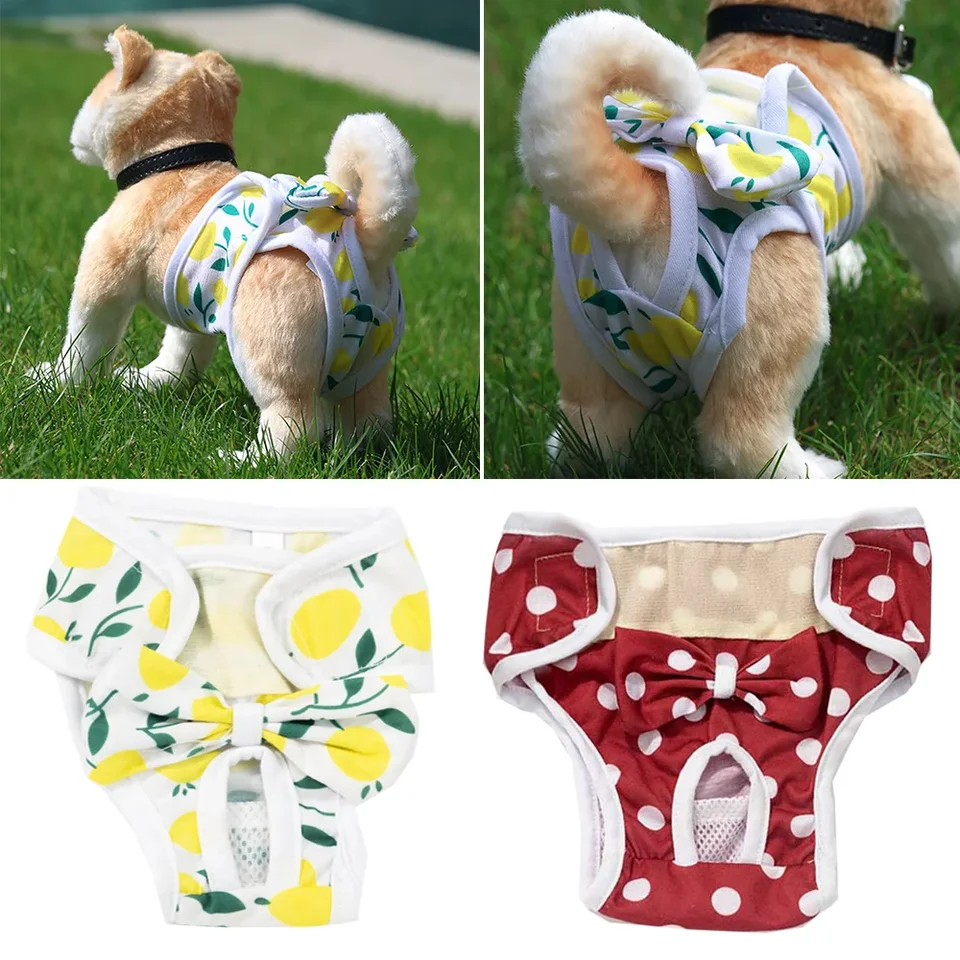 Plienky Plienky Fyziologické nohavičky Dámske nohavičky štipky na spodnú bielizeň umývateľné ženské psie psie nohavičky Pet Dog Catch S-XL