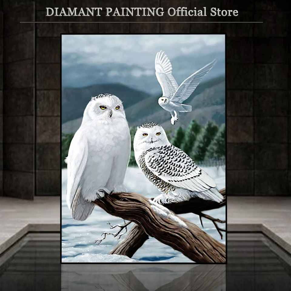 Plné štvorcové / okrúhle vŕtačka Diamantová maľba 5D sova DIY Diamond Art Art Animal Animal Nový príchod mozaiky