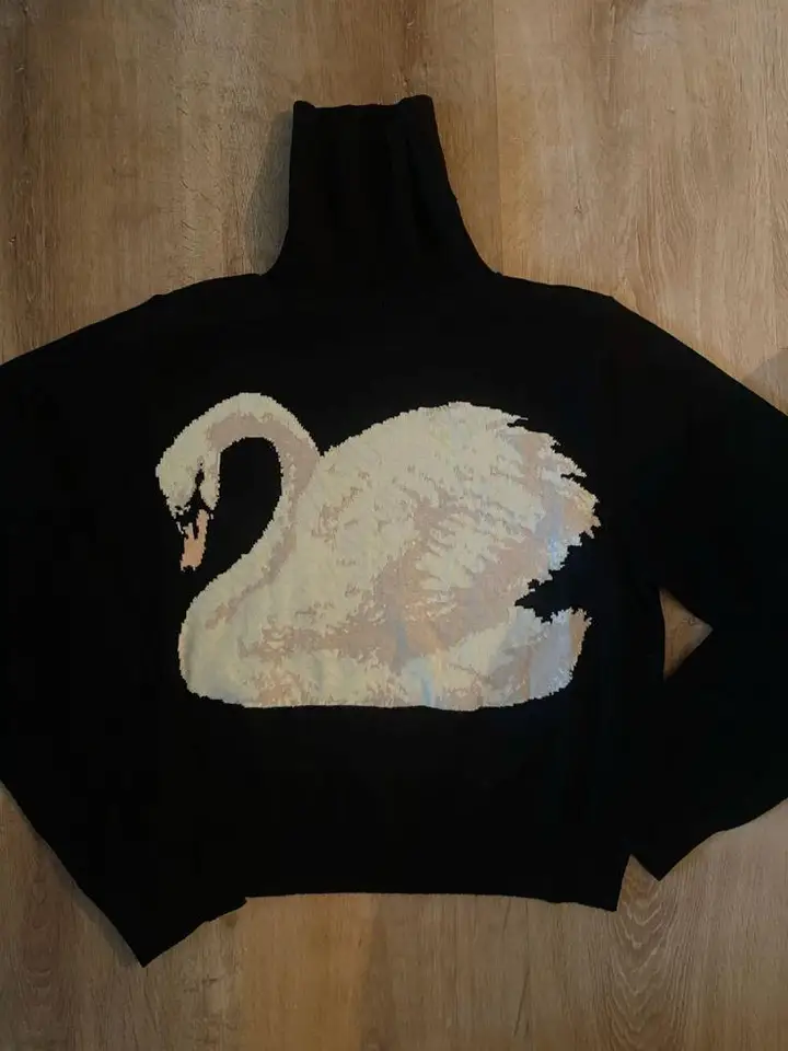 Pokročilý vintage korytnací sveter y2k roztomilý dámsky odev pletenec Sweater Slim Harajuku Streetwear Soft Patroper Pullover