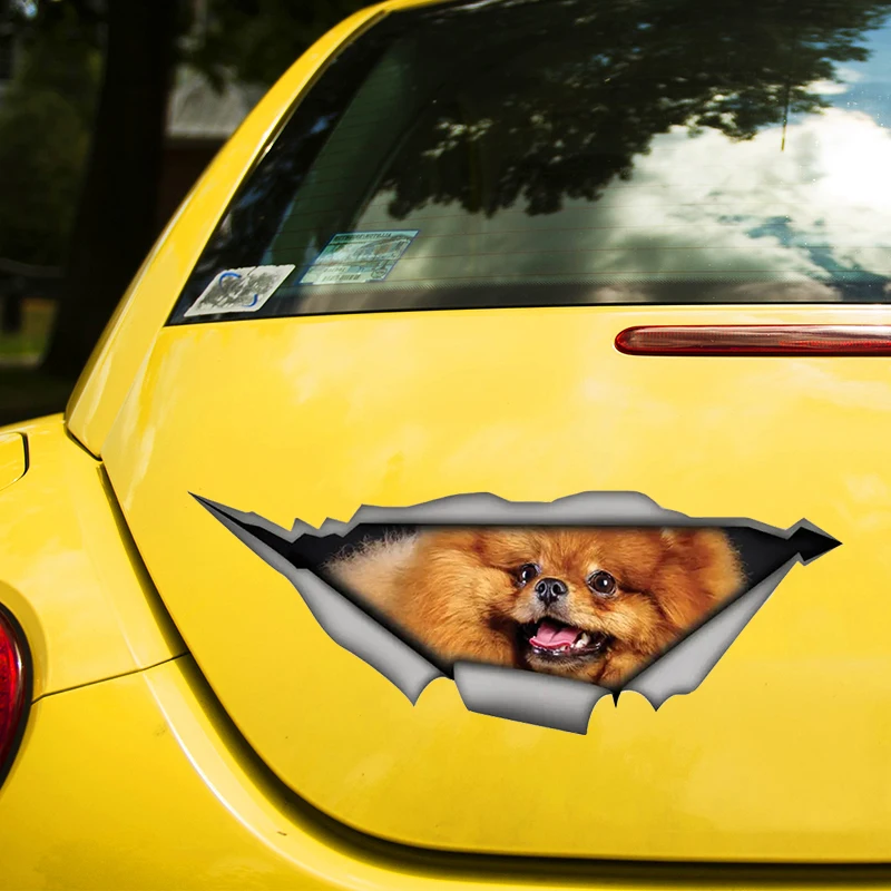 Pomeranian Dog Funny 3D self-pasívny nálepkový nálepkový nálepkový nálepka Automaple Auto Decors na prenosnom počítači zadného okna zvoliť veľkosť #S60484