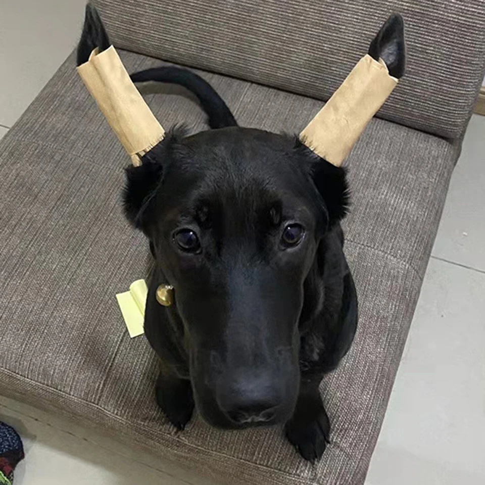 Praktické nálepky na korekciu uší mlieko Herb Herb nápravné nálepky psov uší Priedušné oblúkové lepidlo zadarmo pre Doberman Corgi