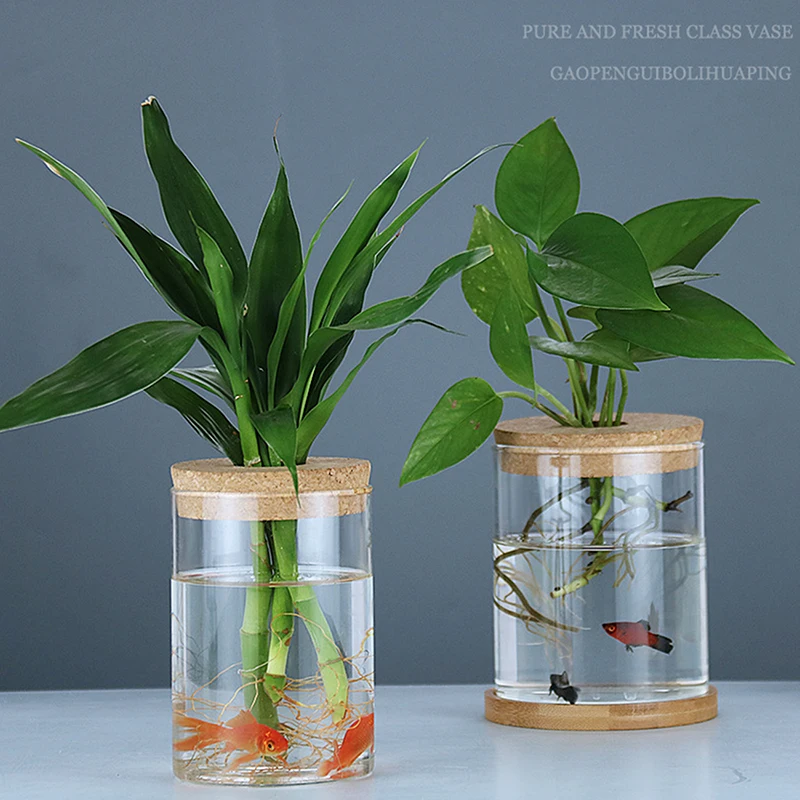 Priehľadný hydroponický kvetinový nádoba Imitácia skla Soilless Planting Petted Green Plant Resin Flower Pot Home Vase
