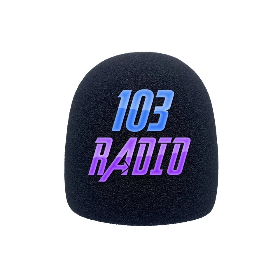 Prispôsobené logo penové mikrofóny čelné sklo kryt huby s mŕtvymi mačkami Pop Pop Filt pre Blue Yeti Pro Mic