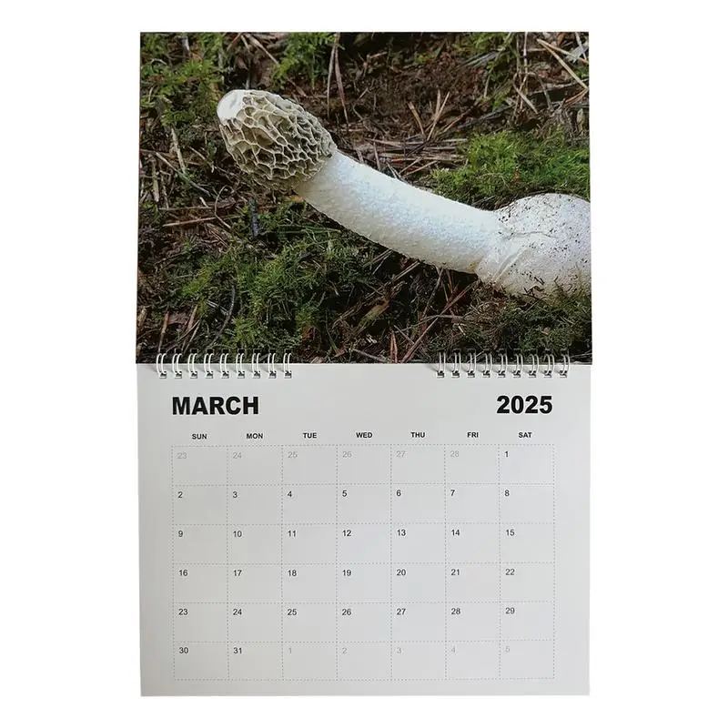 Príroda Dicks Calendar 2025 Funny Calendar Joke Calendar mesačné plánovanie mesačné plánovanie väzbový nástenný kalendár 2025 HABLABLE