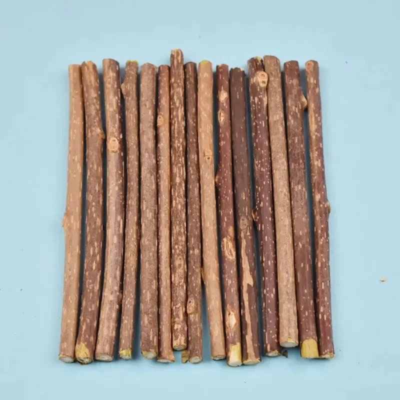 Prírodná mačka molárna palica Catnip zuby Čistenie zubná pasta Silvervine Cat Snack palica Sluhok