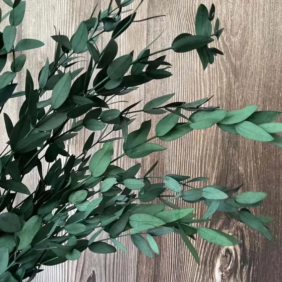 Prírodné eukalyptus listy sušené kvety Svadobné kytice boho domáca izba dekor Hello mačiatko kytica veľké rastliny Domáca dekorácia