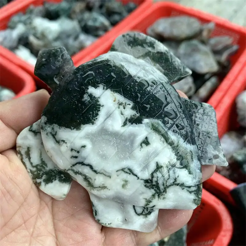 Prírodné machové agate korytnačky korytnačky rezbárske kremeň Liečenie fengshui krištáľové kamenné darčeky domáce dekorácia 1ks