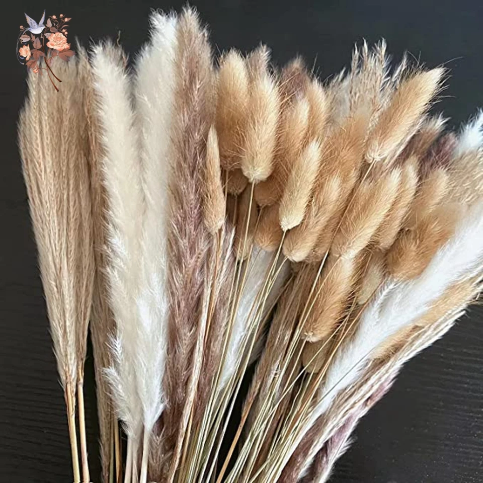 Prírodné pampas sušené kvety kytica pre boho domáca váza dekorácie zajačik králičie chvosty Trasa Artifical Flower Svadobná dekorácia