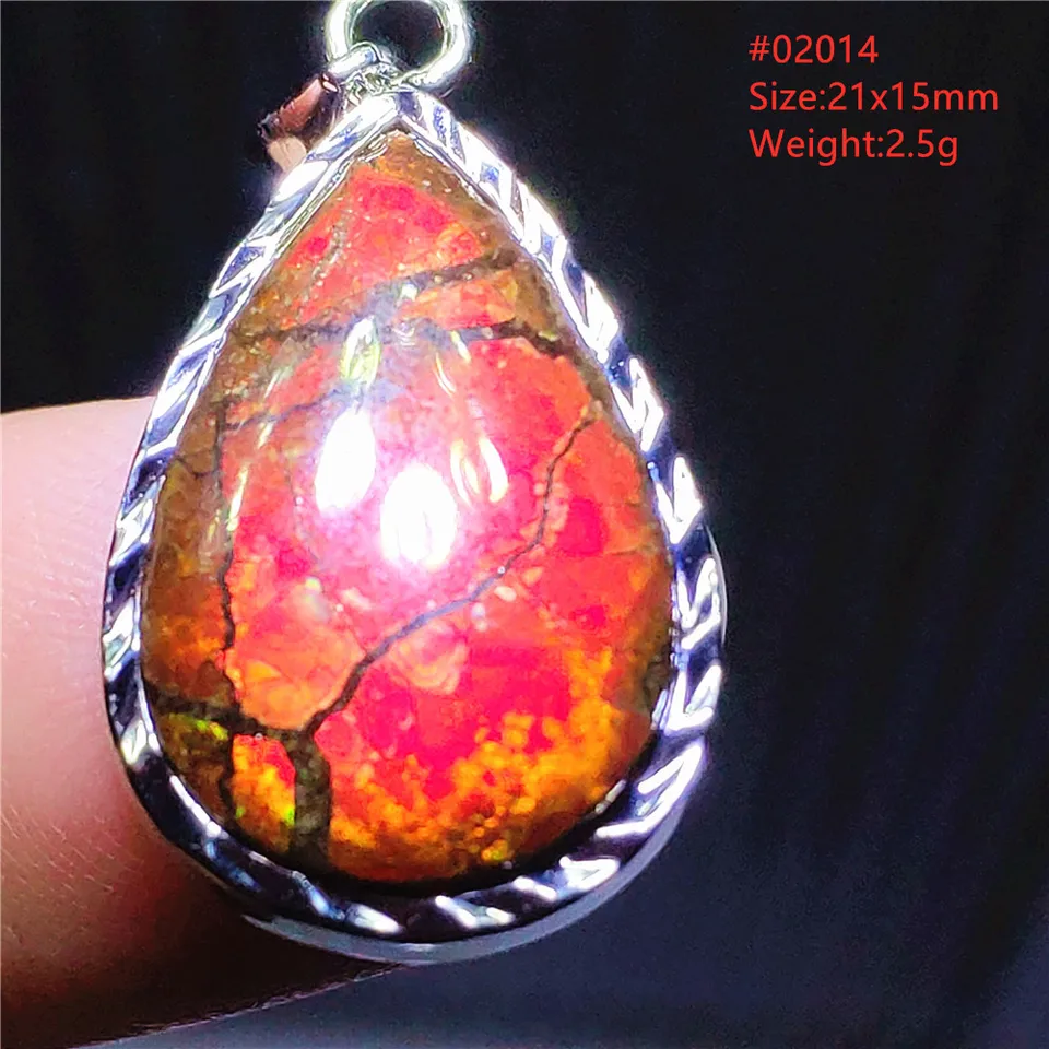 Prírodný červený amonit ammolit prívesok Light Gemstone Green Ammolite 925 Sterling Silver Women Men Kanada náhrdelník AAAAA