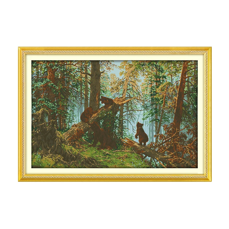 Radosť Sunday Landscape Series Pattern Pine Forest Morning Ráno
