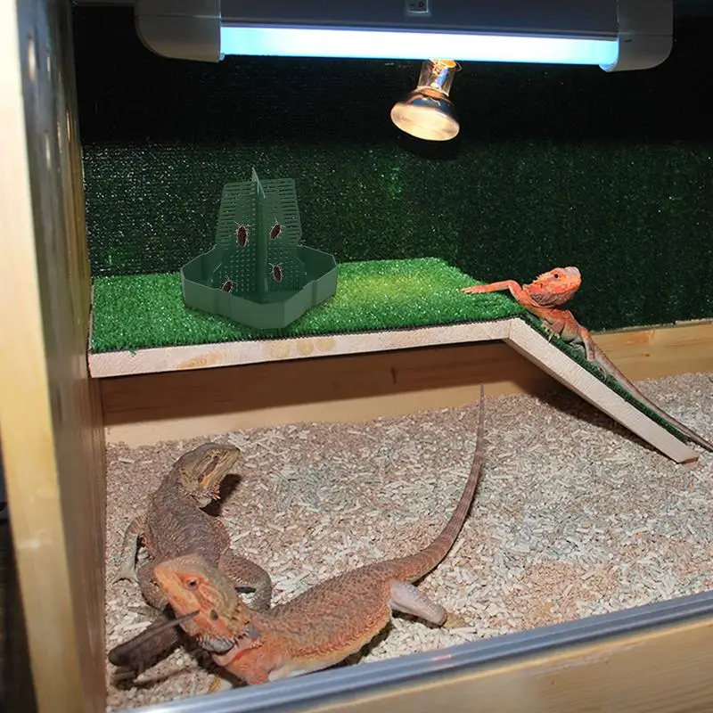 Reptile Food Dish plazs tačička a akváriové doplnky Profesionálny organizátor žijúcich červov proti escape superworm Feeder