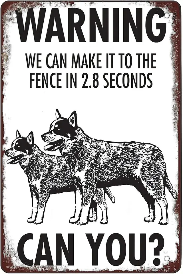 Retro vtipné kovové značky značky plechové znaky, varovanie! Blue Heeler, výzdoba vonkajšej domácej steny, veľkosť: 8 x 12, viac
