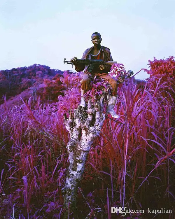 Richard Mosse Infra High Ground Art Plaget Print Canvas Wall Picture maľba 12 24 36 47 palcov