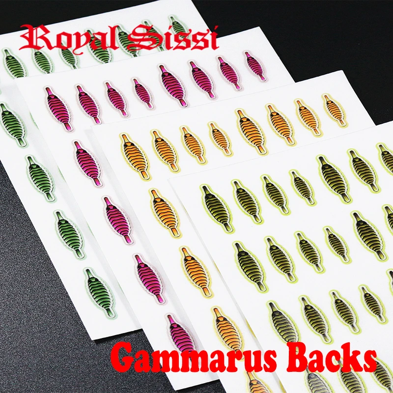 Royalsissi 160ks Set Fly Tying Scud gammarus chrbát