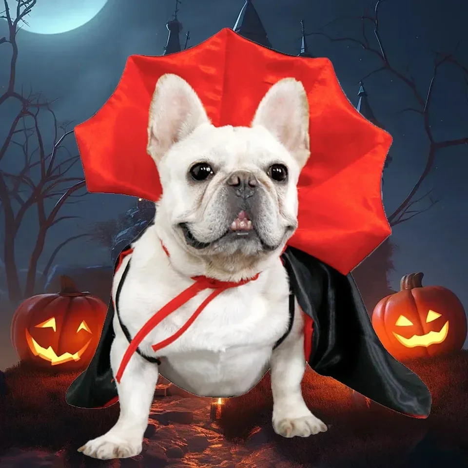 Roztomilé halloweenské kostýmy domácich miláčikov cosplay upír plášť pre malé psie mačiatko mačiatko šaty kawaii maznáčik