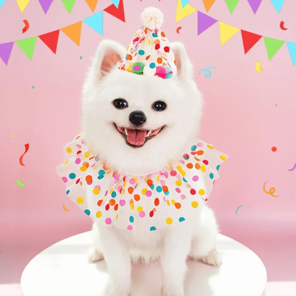 Roztomilý Dot Cat Dog Birthday Bib and Party Hat Mini Doggy Cat nastaviteľná šálka šál narodeninový k narodeninám