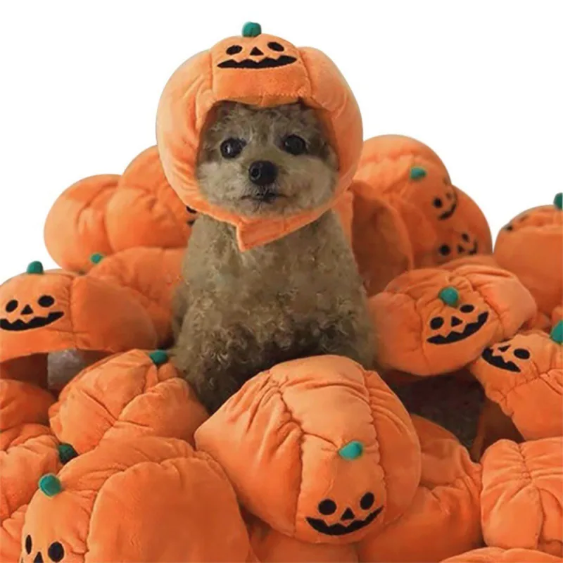 Roztomilý pumpkin klobúk Halloween domácich miláčikov mačací klobúk šaty na čele hlavy malý pes Cat Cosplay kostým vtipný večierok