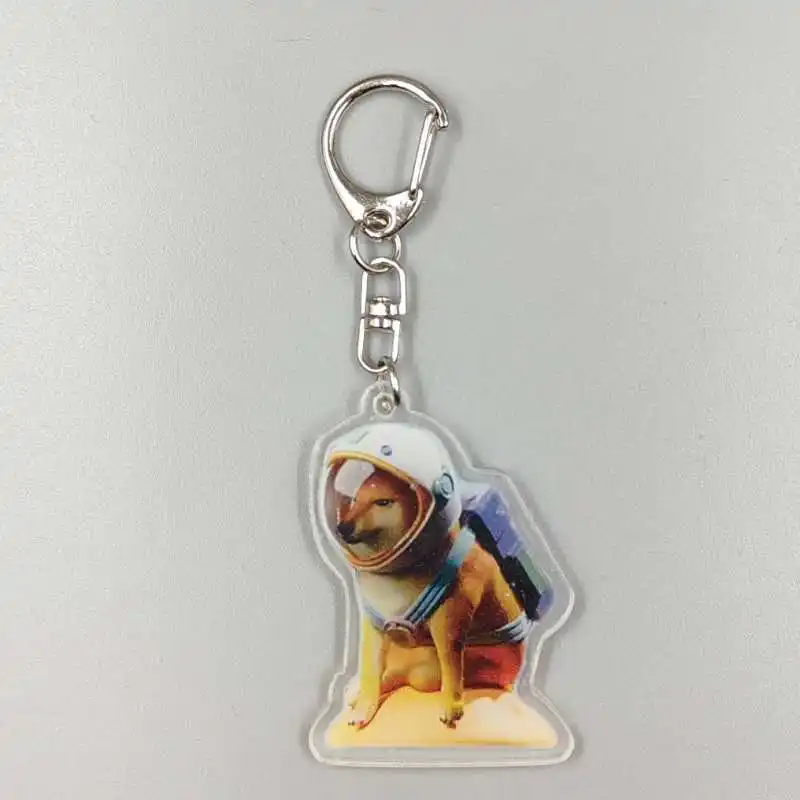 Roztomilý vtipný priestor astronaut svalová Doge hamburger cheems syr rozvíja bojovník kokosový ps