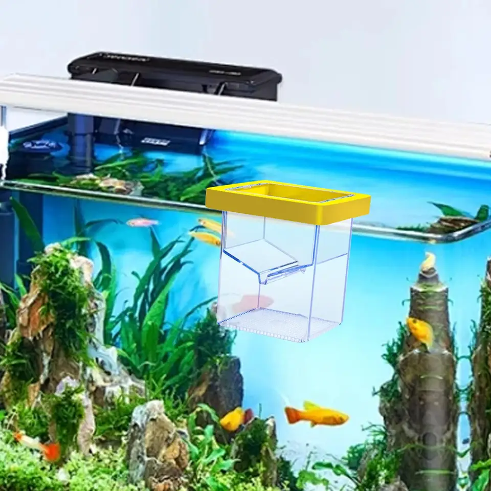 Rybí chovateľka boxu Fish Tank liahň