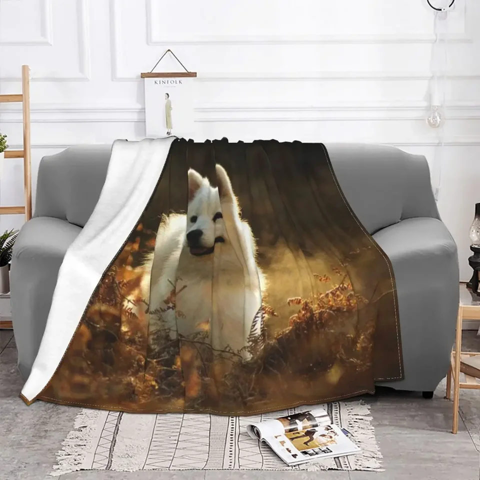 Samoyed Dog Plaid Plaid Detská prikrývka pohovka na pohovku jar jesenné fleece roztomilý matk