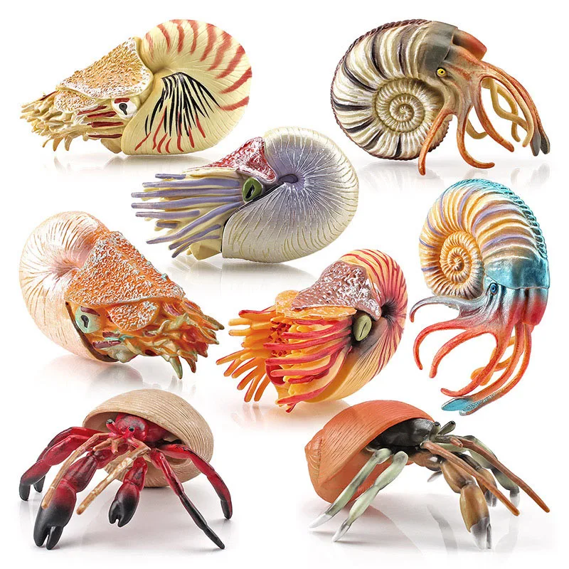 Simulácia morských zvierat simulácia hermit kraby nautiloidea PVC model pre deti hračky pre ryby