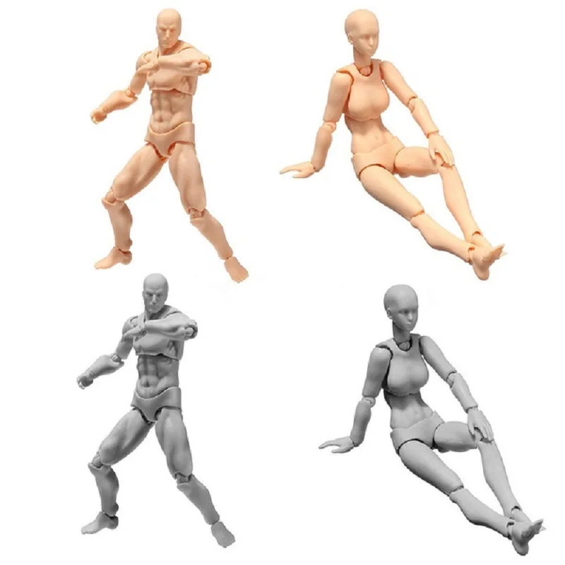 Skicy Body Kun/Body Chan DX Set Movabilný muž \ ženský anime archetyp