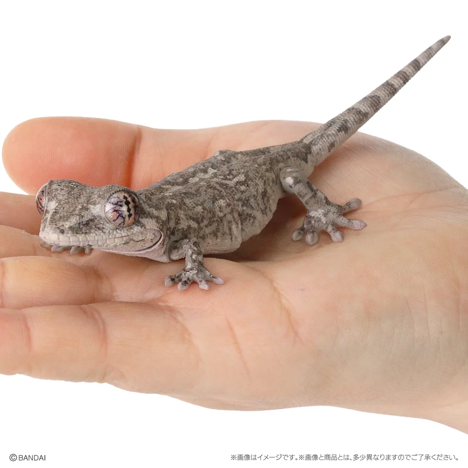 Skutočná popularita gacha biologická encyklopédia japonský gecko brada jašterice akčných hračiek