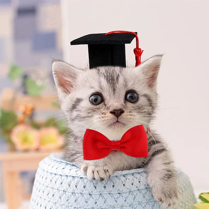 Small Anim Attual Caps Mini bakalár s klobúkom s strapcom roztomilé klobúky pre domáce zvieratá Bowtie pre mačiatko pre škrečky