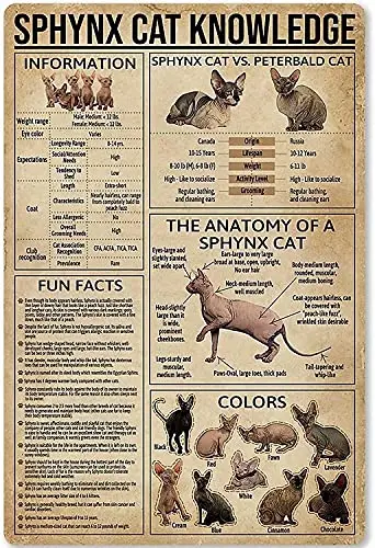 Sphynx Cat Knowledge Retro Metal Tin Sign Sign Anatómia sphynx mačkovej tlače plagátu Pet Shop Cafe Obývacia izba Garáž domáce umenie
