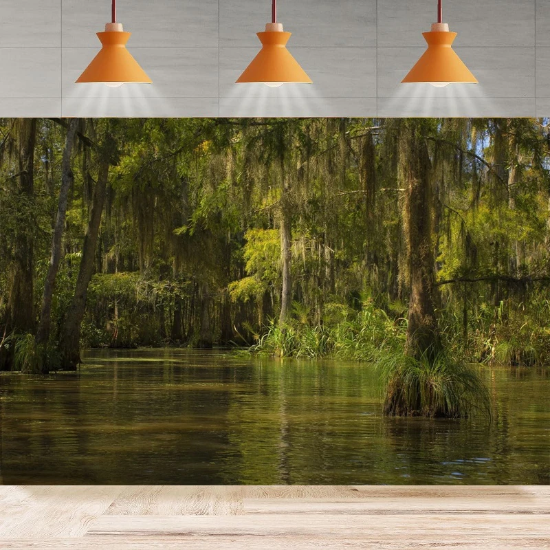 Swamp Bayou Honey Island River Photography Pozadie džungľa párty nástenné plagáty pozadie Domáca večierok Kadový banner stenu